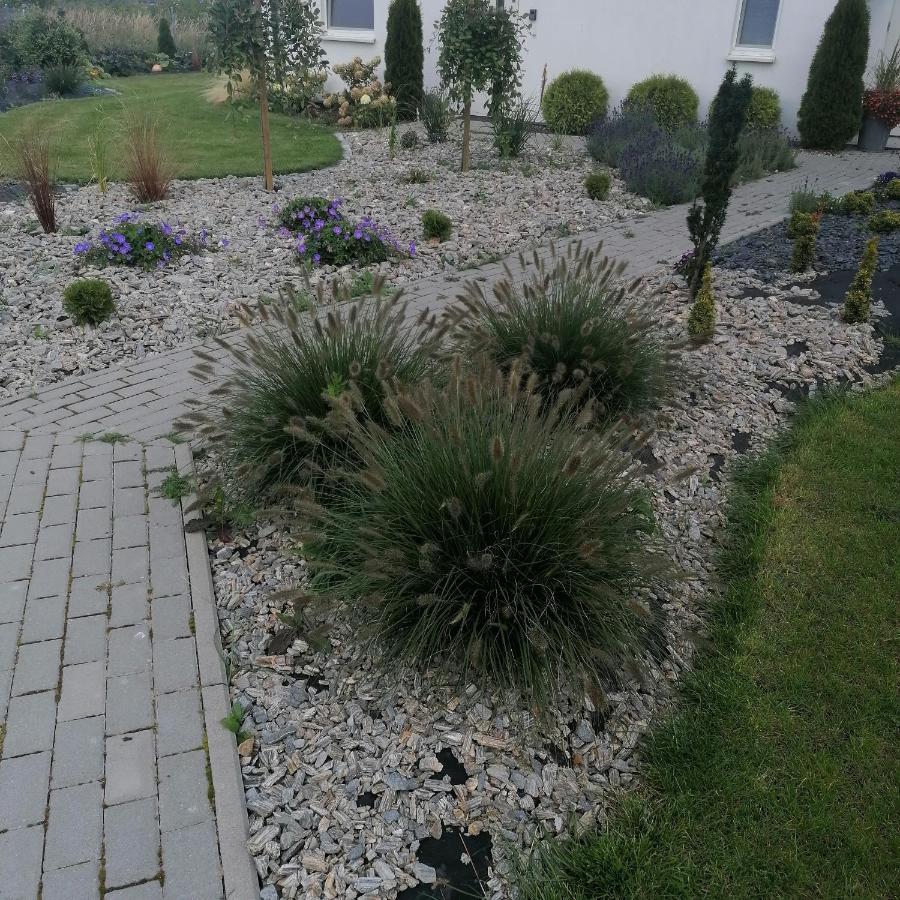 Villa Lawendowe Wzgórze Zastan Exterior foto